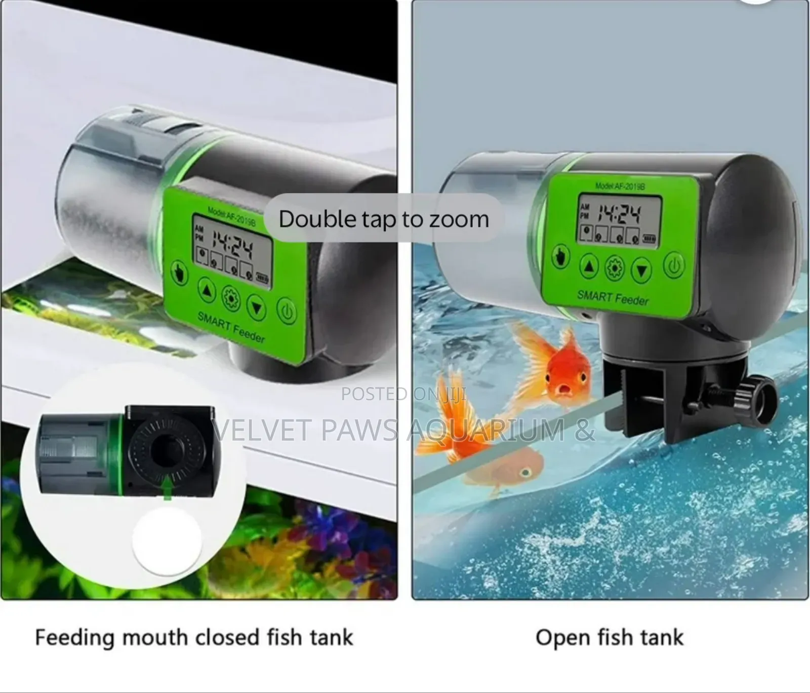 Automatic Feeder For Aquarium