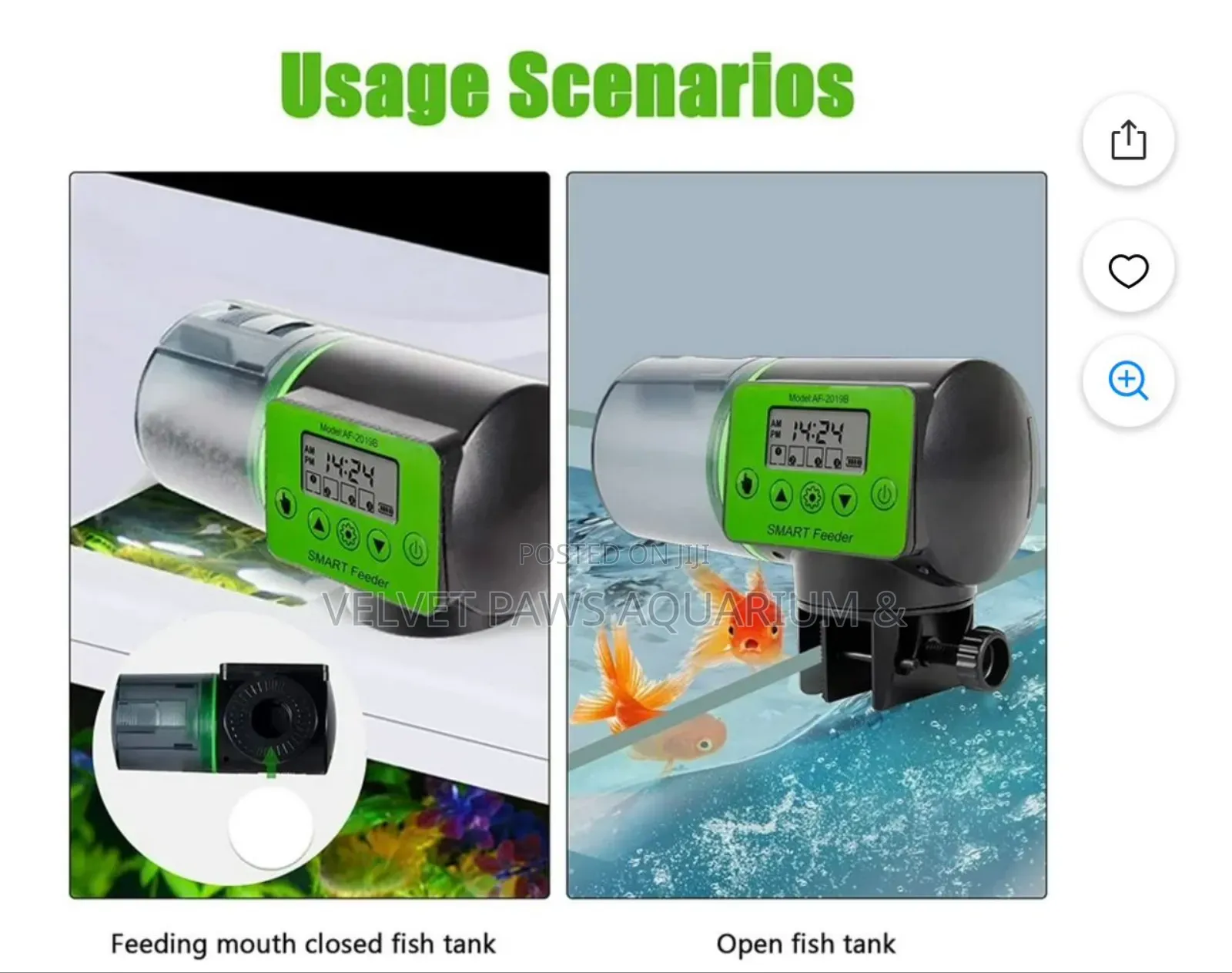 Automatic Feeder For Aquarium