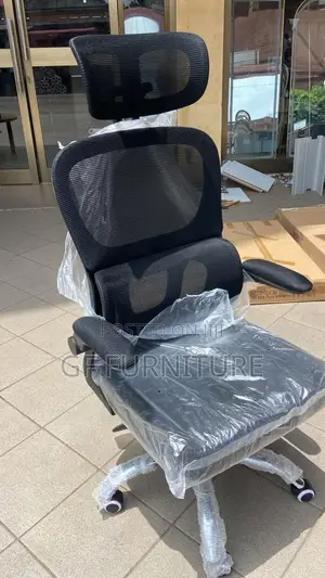 Ergonomic Mesh Office Chair