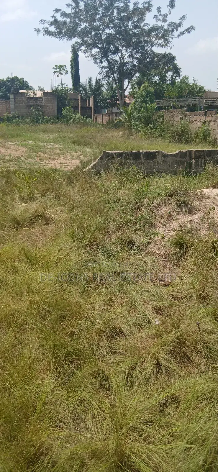 Registered Land for Sale
