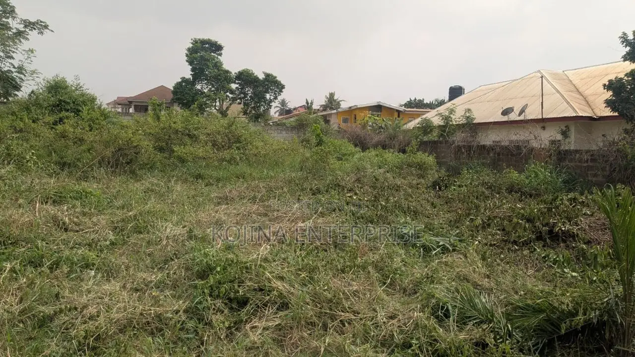 Prime 2 Plots of Land for Sale at Sokoban – Patuda (100×200)