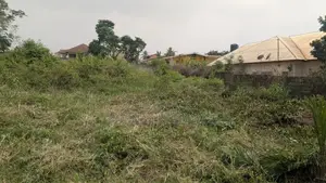 Prime 2 Plots of Land for Sale at Sokoban – Patuda (100×200)