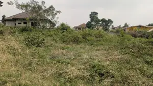 Prime 2 Plots of Land for Sale at Sokoban – Patuda (100×200)