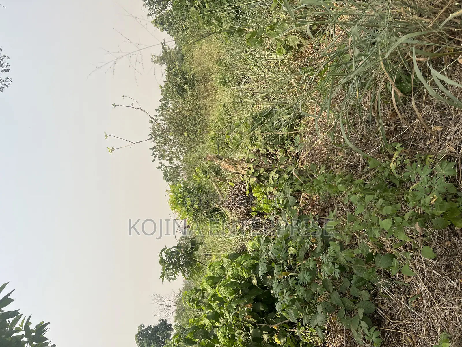 Prime 2 Plots of Land for Sale at Sokoban – Patuda (100×200)
