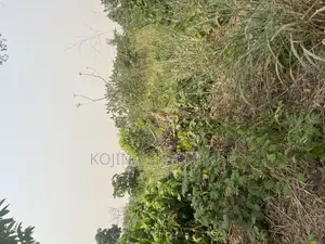 Prime 2 Plots of Land for Sale at Sokoban – Patuda (100×200)
