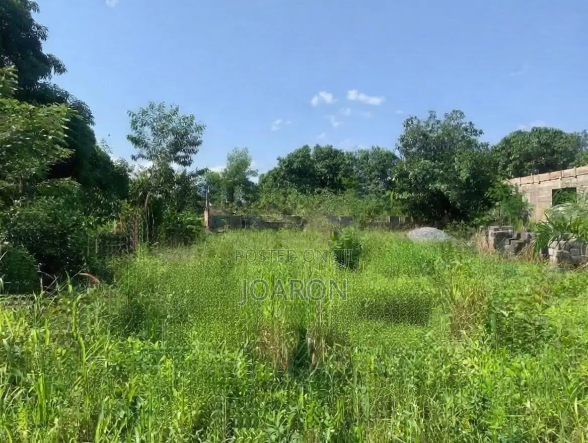 One Plot Under the Mountain at Ayikuma Dodowa Rd - Good Road Access