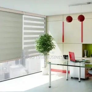 Modern Version Window Blinds 