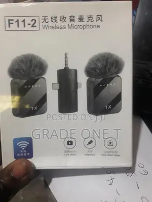 Wireless Microphone (F11-2)