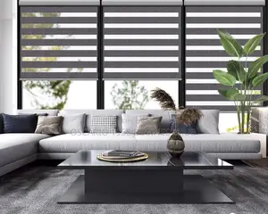 Gloryboy Zebra Window Curtain Blinds 