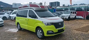 Hyundai H1 2019 Green