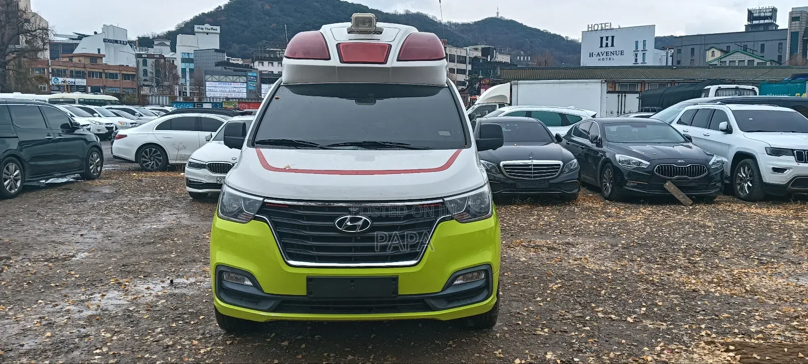 Hyundai H1 2019 Green