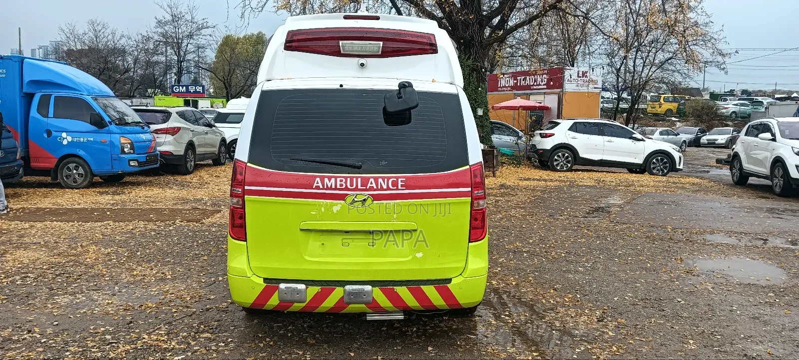 Hyundai H1 2019 Green