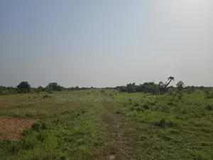 300 Acres Land East Legon Hills Regimanuel Real Estate Katamanso