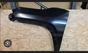 Toyota Rav4 Front Wing Fender 2020