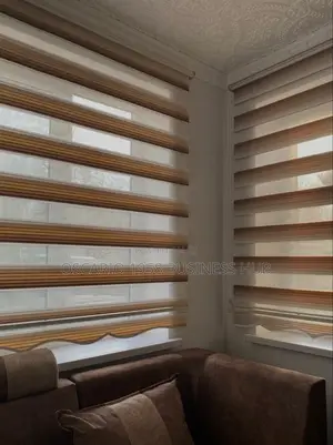 Success Strategies Zebra Modern Design Curtains Blind 