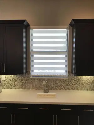 Serendipity Strategies Zebra Window Modern Design Curtains Blind