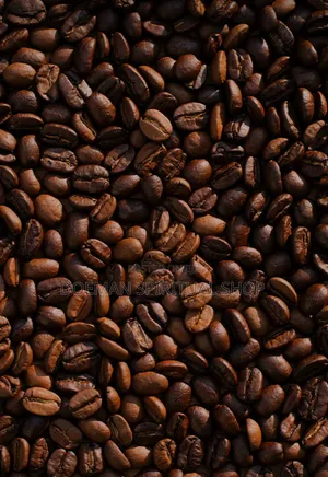 Coffee Beans