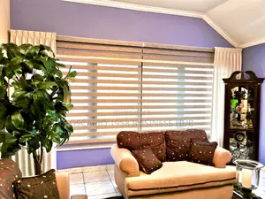 Fortune Goods Window Curtain Design Blinds 