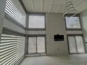 Lucky Star Zebra Window Design Curtain Blinds