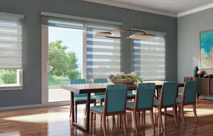 Success Synergy Window Design Zebra Curtain Blinds