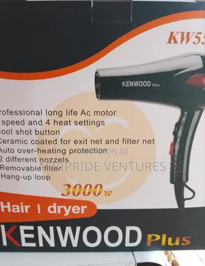 Original Kenwood Hand Dryer