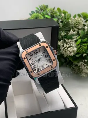 Cartier Santos Dumont Watch