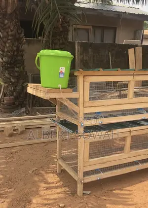 10 Rooms Modern Rabbit Cage