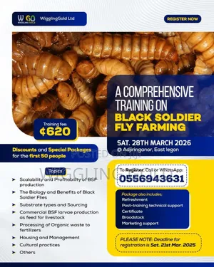 Black Soldier Fly (Bsf) Production Training