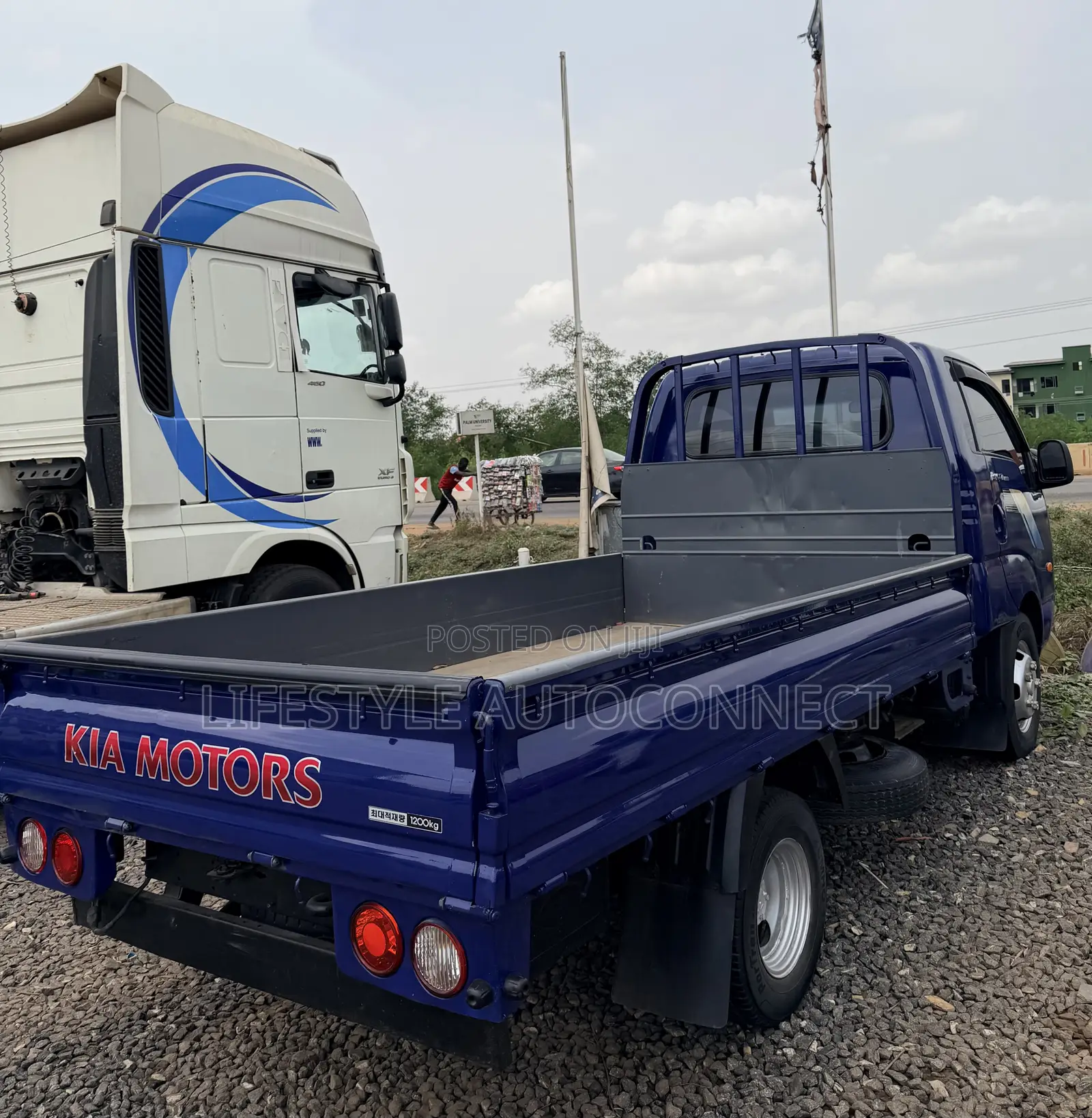 Kia Combi 2010 Blue