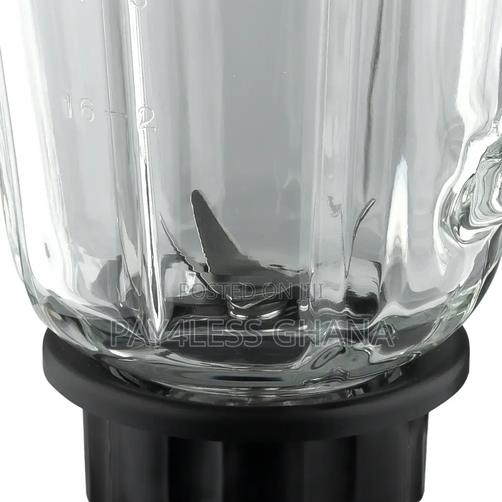 RAF 3-in-1 Blender With 6 Blades