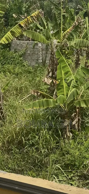 Half Plot Available for Sale