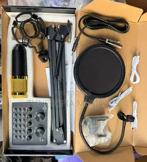 Bm800 Condenser Microphone Studio Recording Kit
