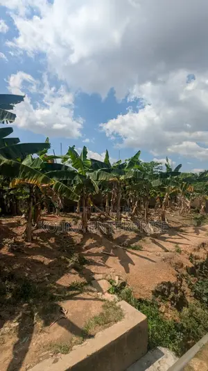 Borteyman: 2 Residential Plots for Sale