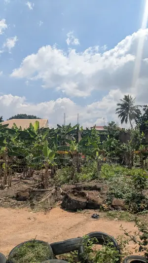 Borteyman: 2 Residential Plots for Sale