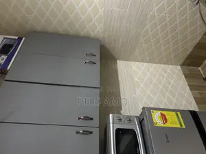 1bdrm Apartment in Tseaddo for rent