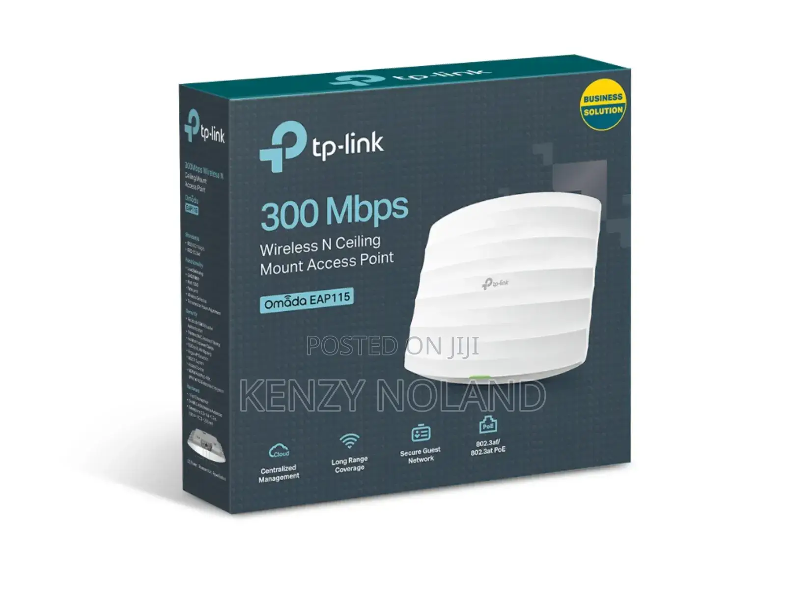 300mbps Wireless N Ceiling Mount Access Point