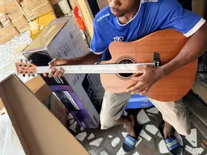 Strinberg Forest Series Semi-acoustic Guitar.