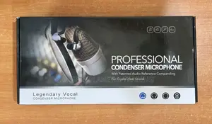 Legendary Professional Vocal Condenser Microphone - Bm800