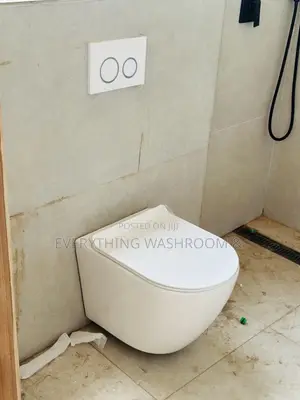 Modern Concealed Toilet Seat Wc_invisible Cistern Wall-Hung Wc