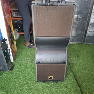 12 Inches Kara Line Array