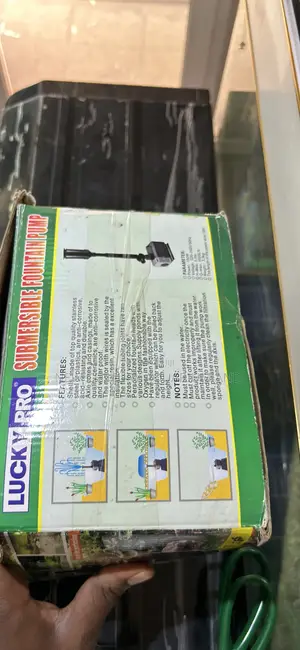 Submersible Fountain Pump