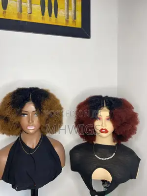 100% Human Afro Wig