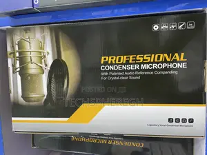 Professional Condenser Microphone