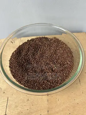 Alligator Pepper, Guinea Pepper, Efom Wisa