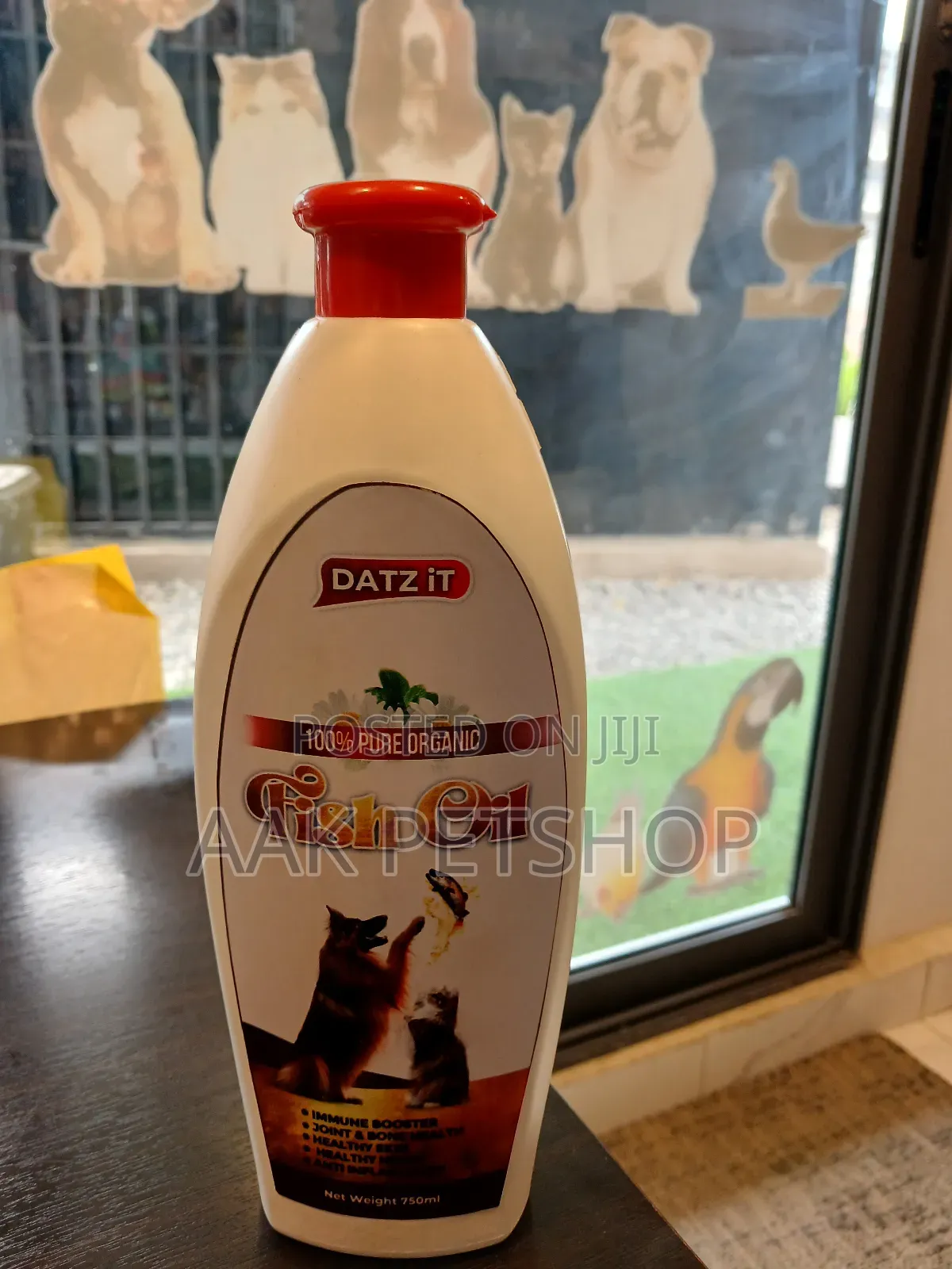 Fish Oil for Dogs