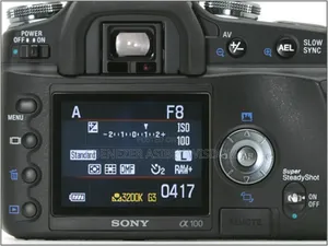 Sony Alpha 100