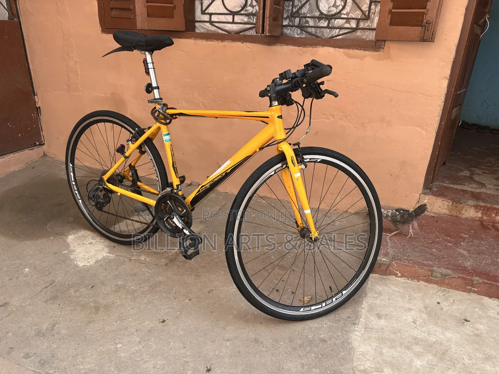 Road Racer Bicycle