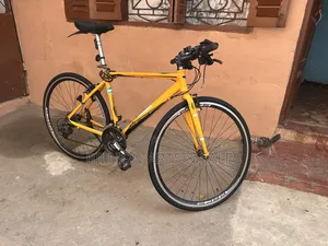 Road Racer Bicycle