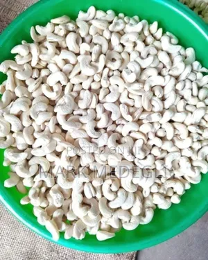 Cashew Kennel Available in Accra Ghana for Sale