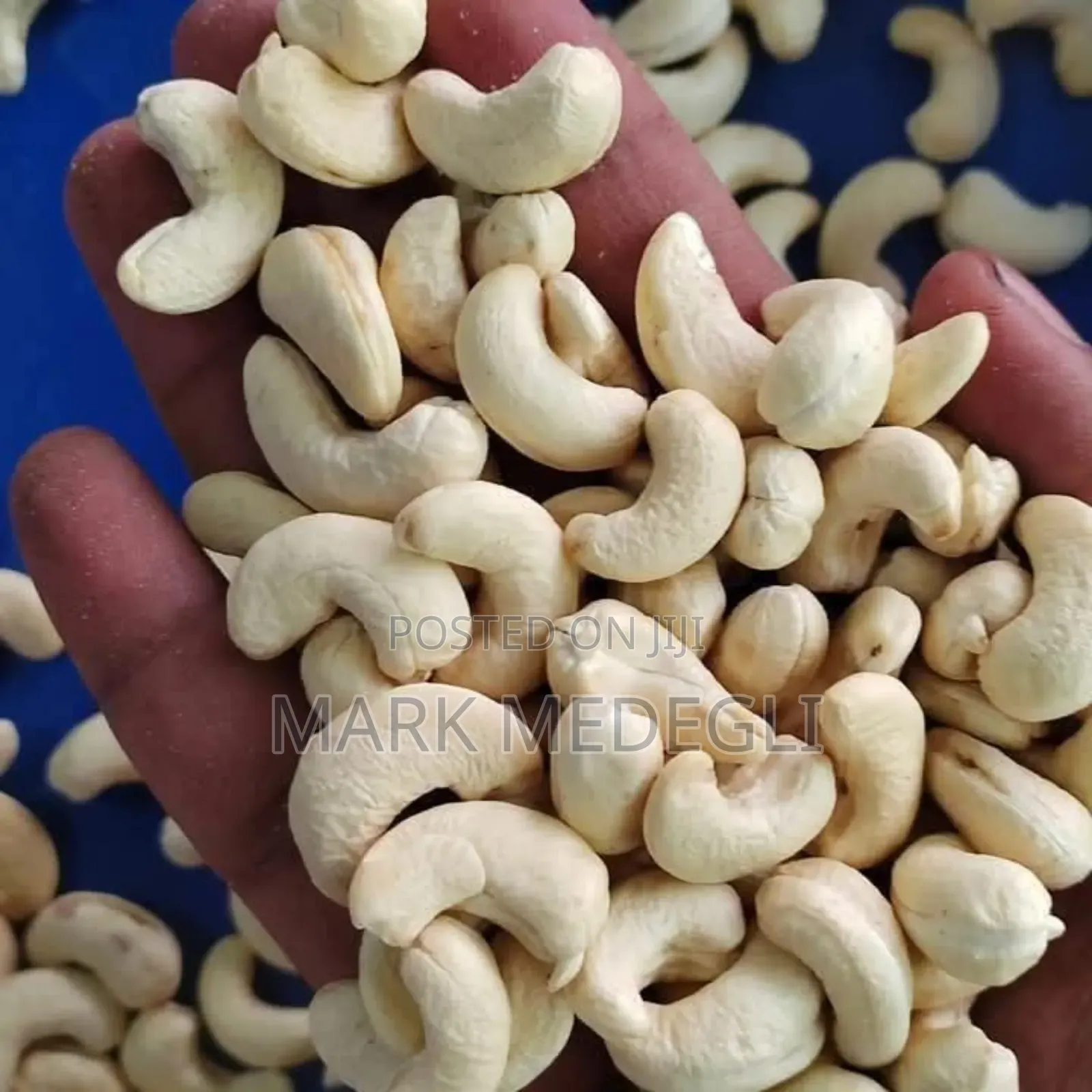 Cashew Kennel Available in Accra Ghana for Sale
